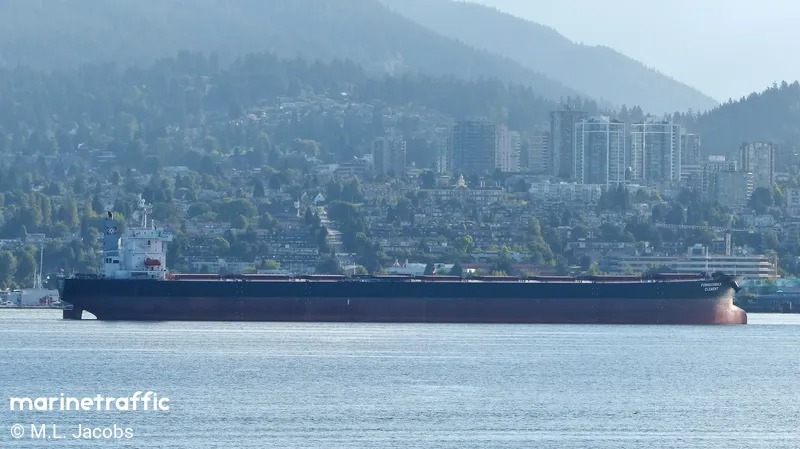 Bulk Carrier